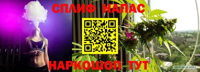 гидра Апрелевка