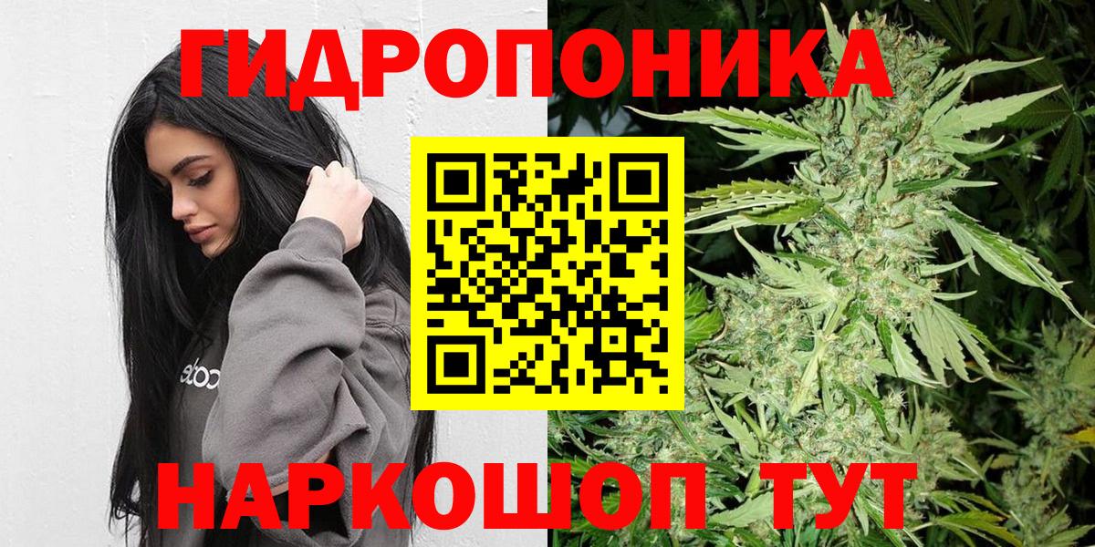 МАРИХУАНА конопля  Бошки марихуана конопля  Выборг  Бошки марихуана THC 21%  Вход с VPN  Канабис ГИДРОПОН 